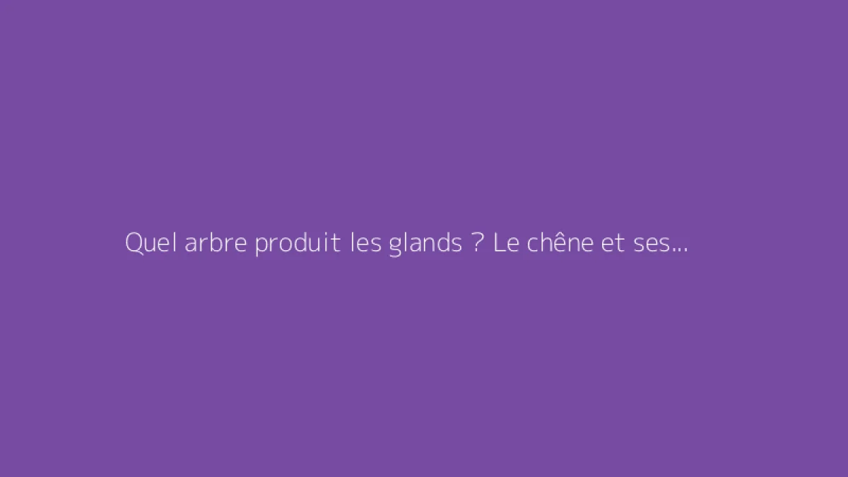 Quel arbre produit les glands ? Le chêne et ses secrets dévoilés