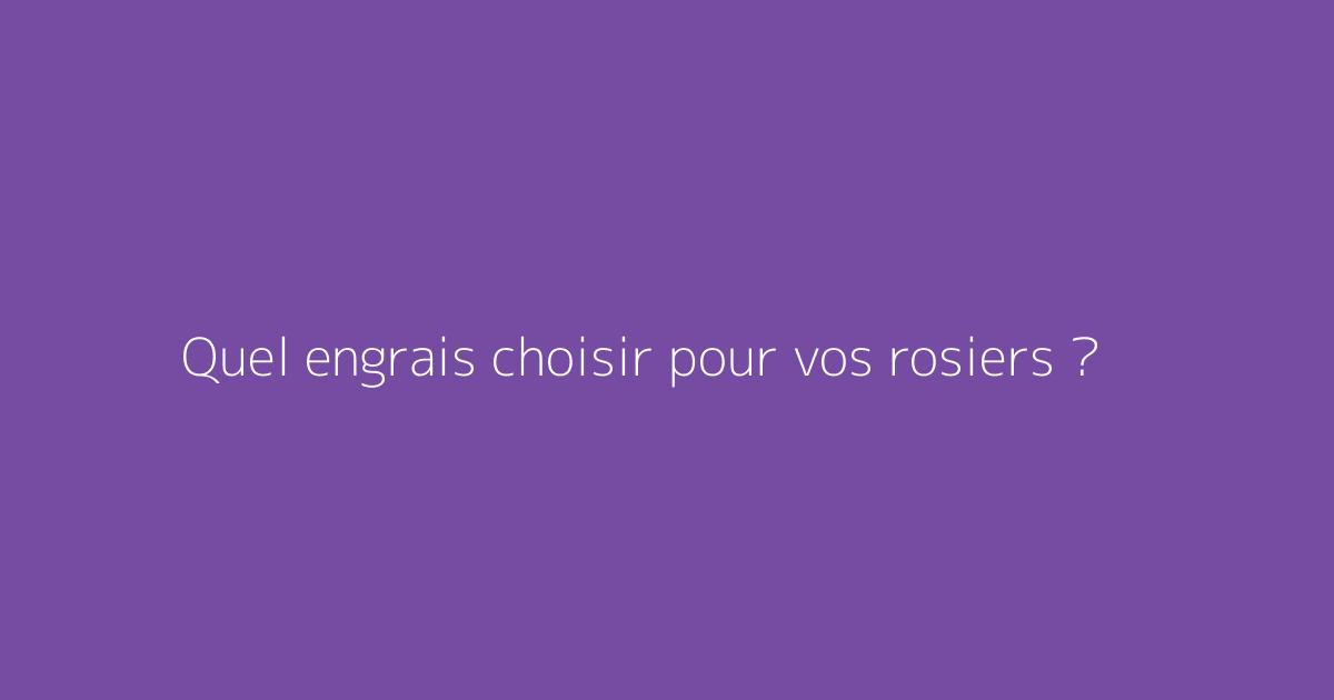 Quel engrais choisir pour vos rosiers ?