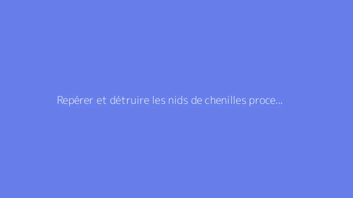 Repérer et détruire les nids de chenilles processionnaires