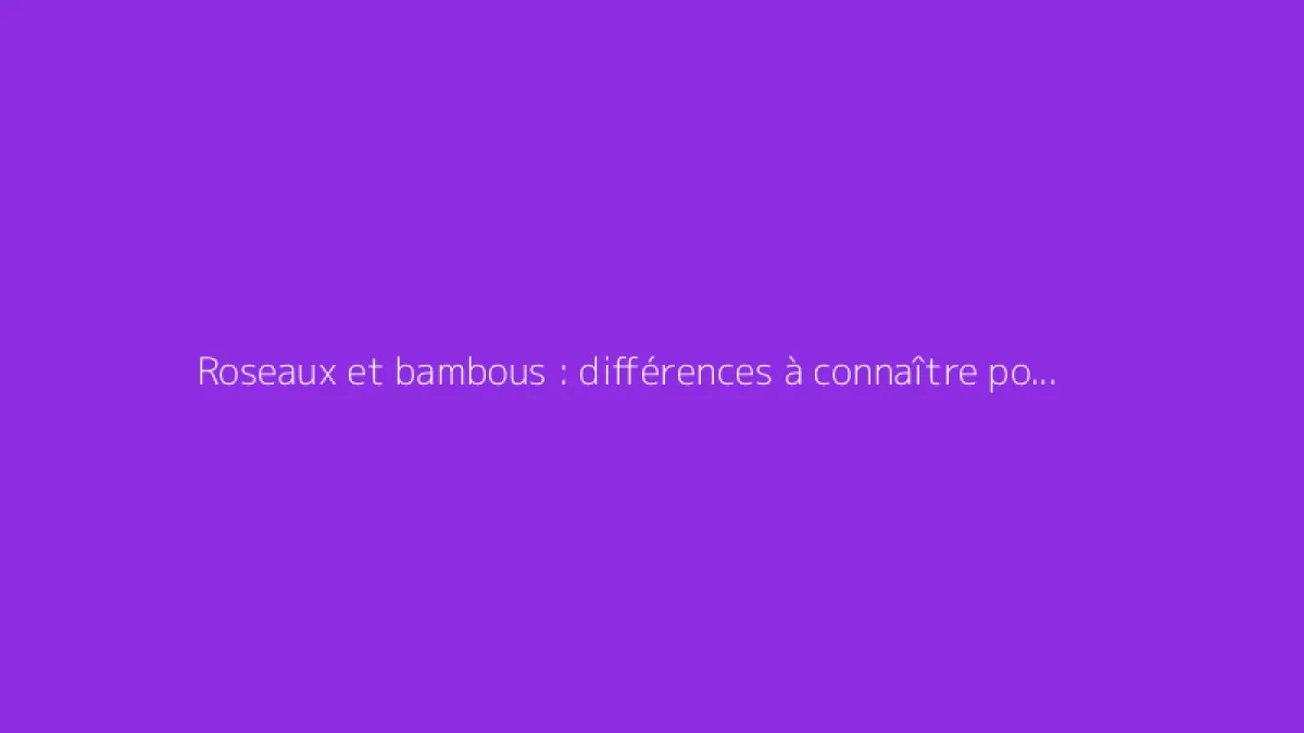 Roseaux et bambous : différences à connaître pour le jardin