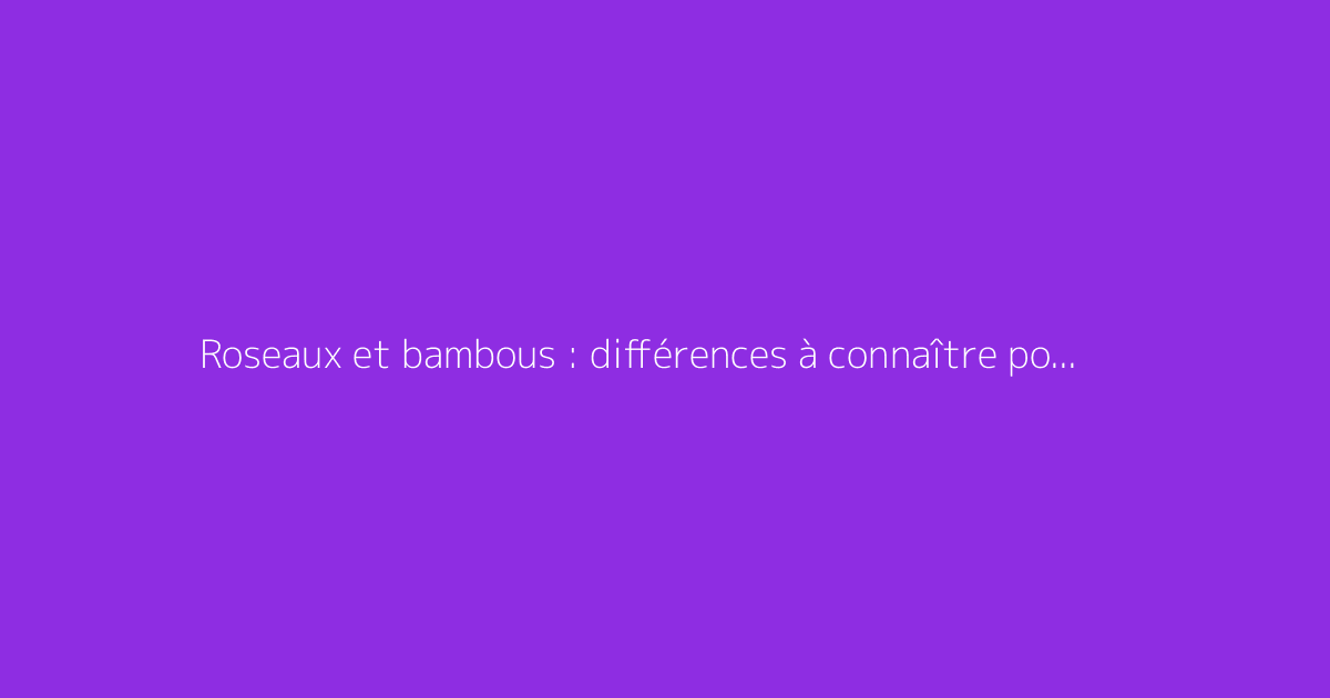 Roseaux et bambous : différences à connaître pour le jardin