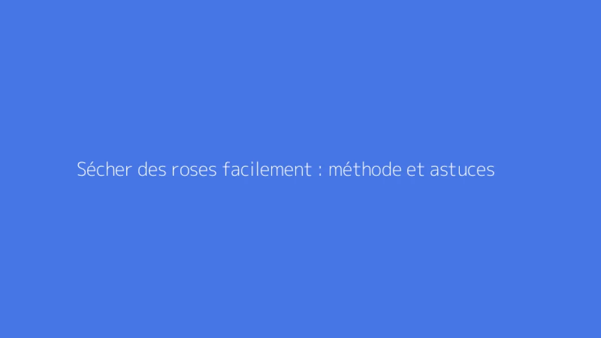 Sécher des roses facilement : méthode et astuces