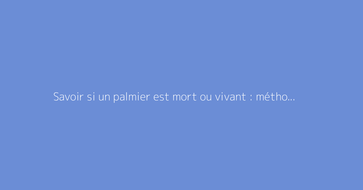 Savoir si un palmier est mort ou vivant : méthodes fiables