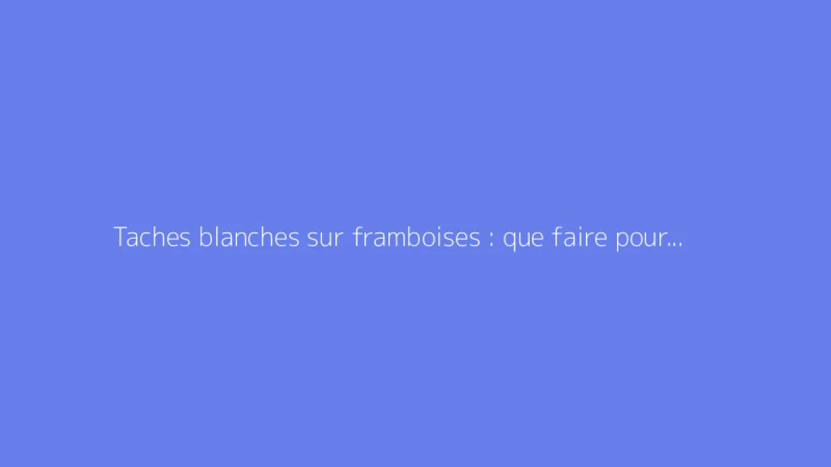 Taches blanches sur framboises : que faire pour y remédier ?