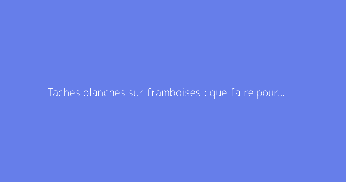 Taches blanches sur framboises : que faire pour y remédier ?
