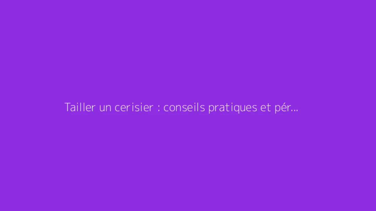 Tailler un cerisier : conseils pratiques et période idéale